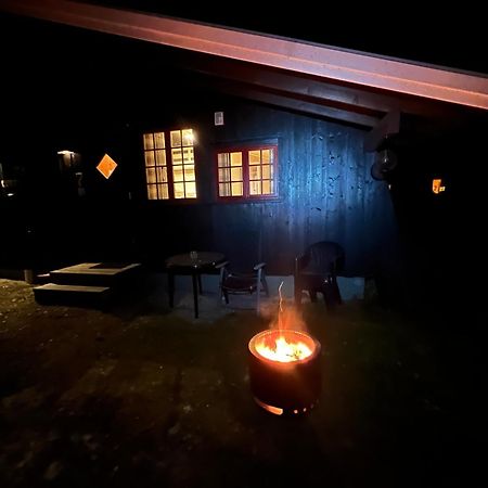 Vennebo - Koselig Liten Hytte Med Alle Fasiliteter Ål Exterior foto