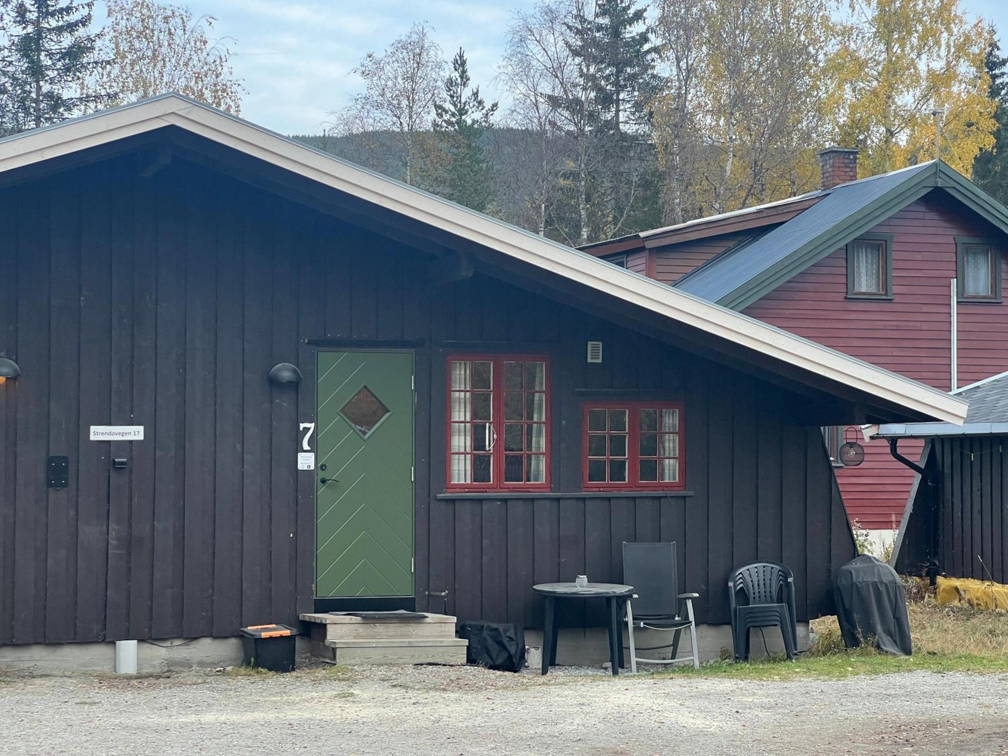Vennebo - Koselig Liten Hytte Med Alle Fasiliteter Ål Exterior foto